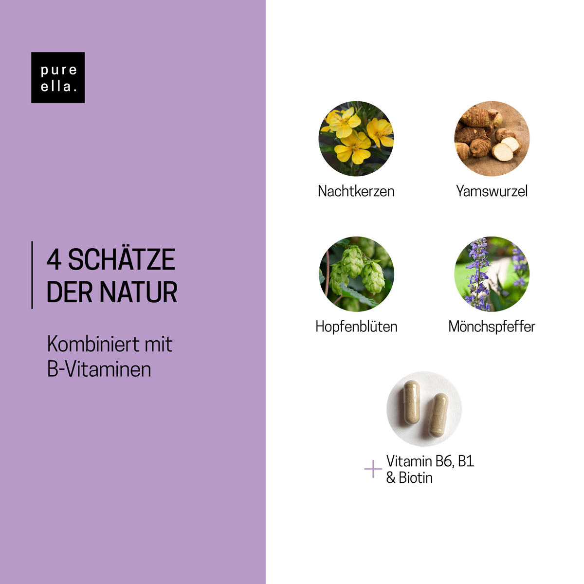 ANNÉES DE CHANGEMENT Capsules