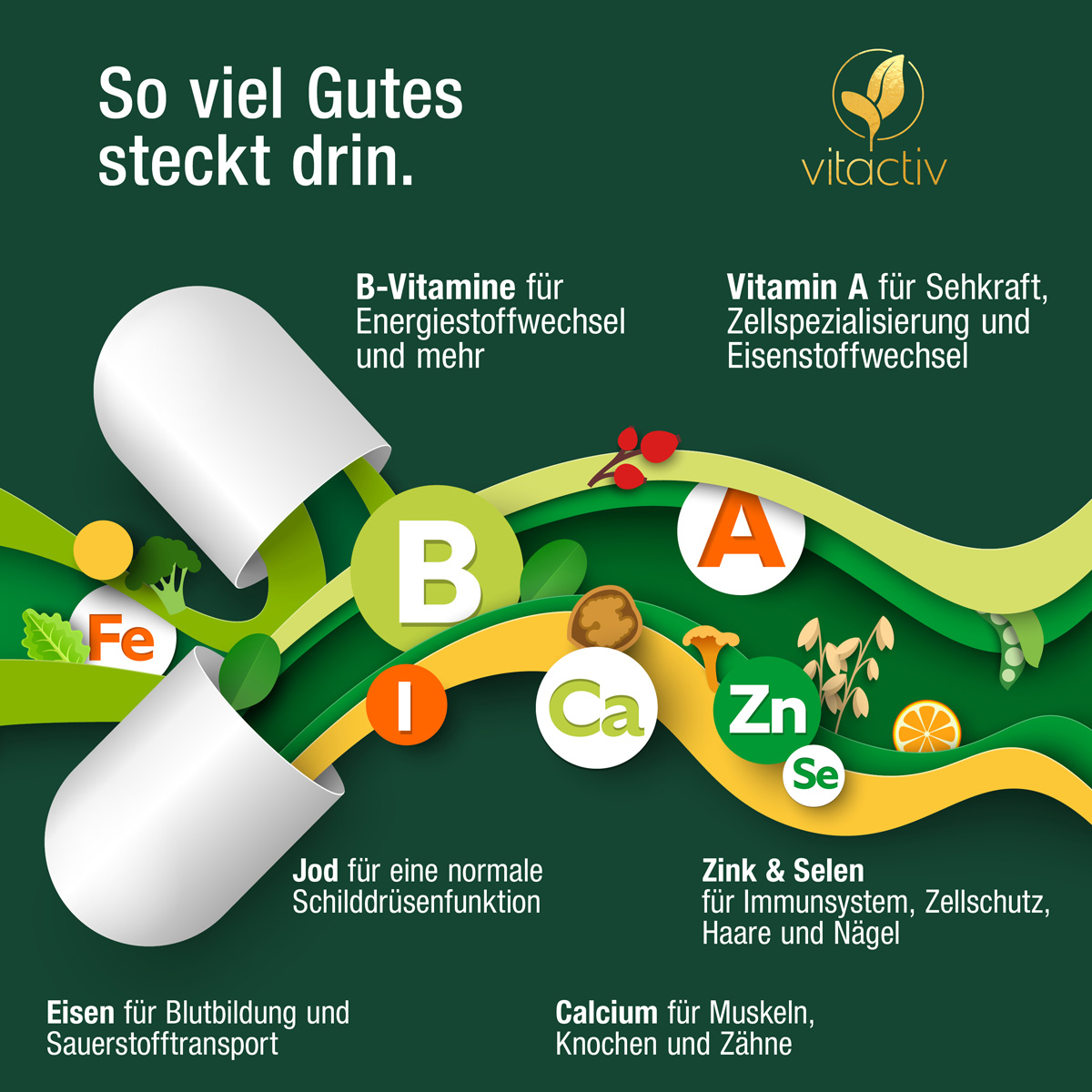 VEGAN ESSENTIALS – Kapseln für Veganer