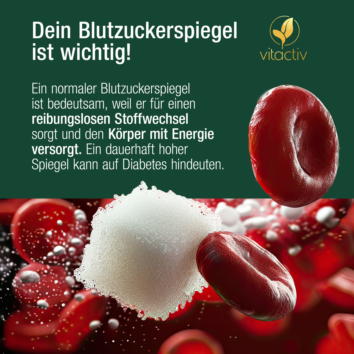 Dein Zuckerspiegel ist wichtig. Warum? Weil er für einen reibungslosen Stoffwechsel sorgt und den Körper mit Energie versorgt. Ein dauerhaft hoher Spiegel kann auf Diabetes hindeuten. Das Bild zeigt einen Zuckerwürfel zwischen roten Blutkörperchen.