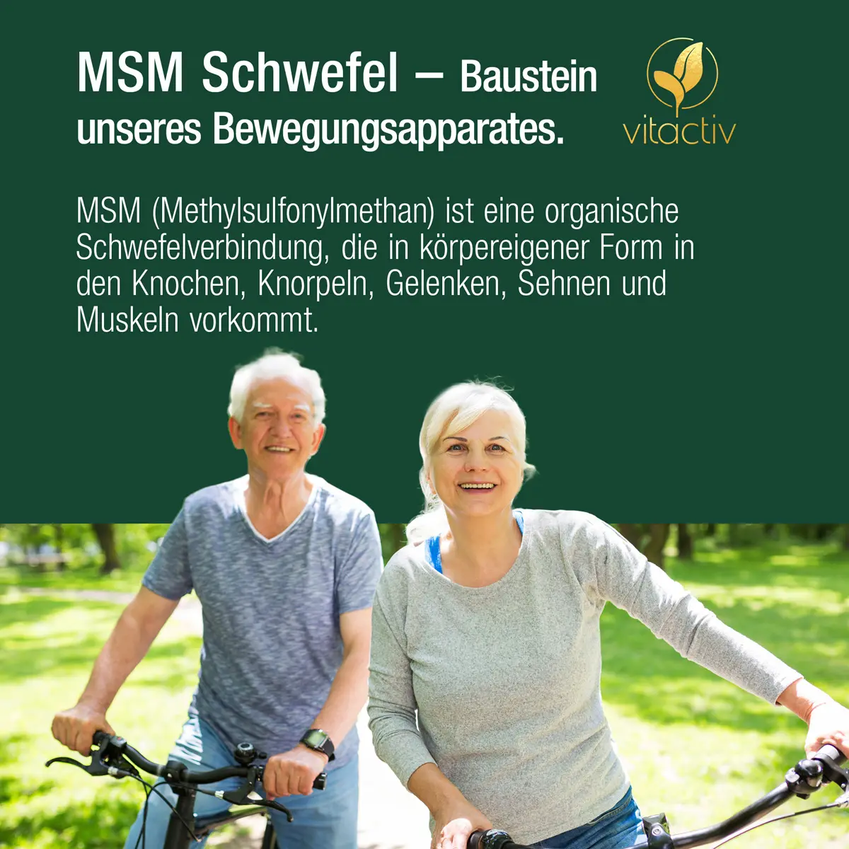 MSM 1000 mg