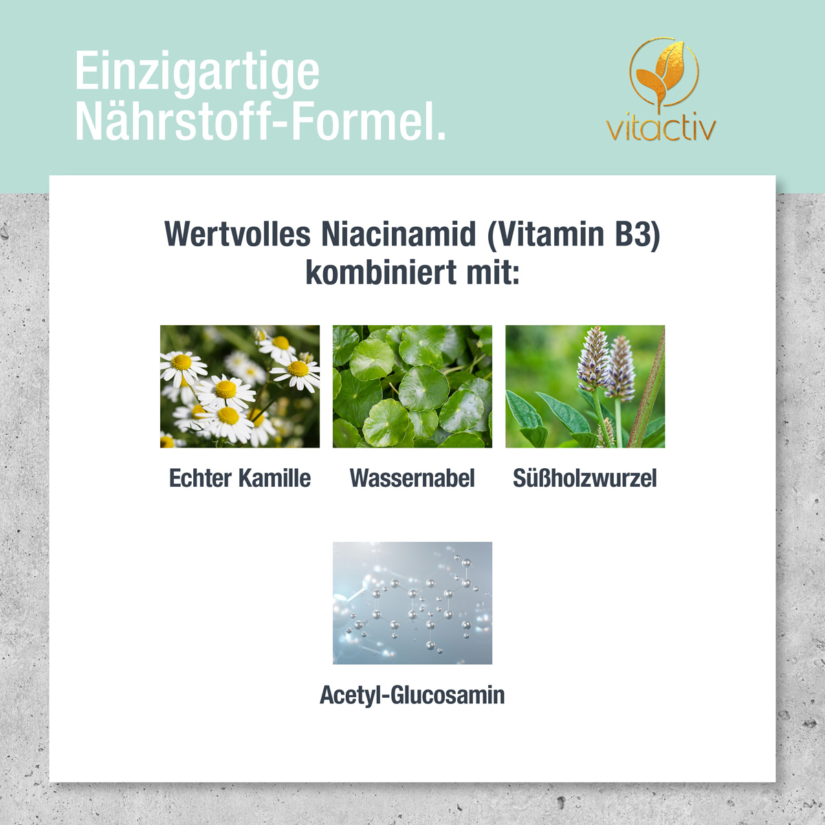 Kleine Fotos der verschiedenen Pflanzen, die als Auszüge im Produkt enthalten sind. Text zum Bild: Einzigartige Nährstoff-Formel. Wertvolles Niacinamid (Vitamin B3) kombiniert mit Echter Kamille, Wassernabel, Süßholzwurzel und Acetyl-Glucosamin.