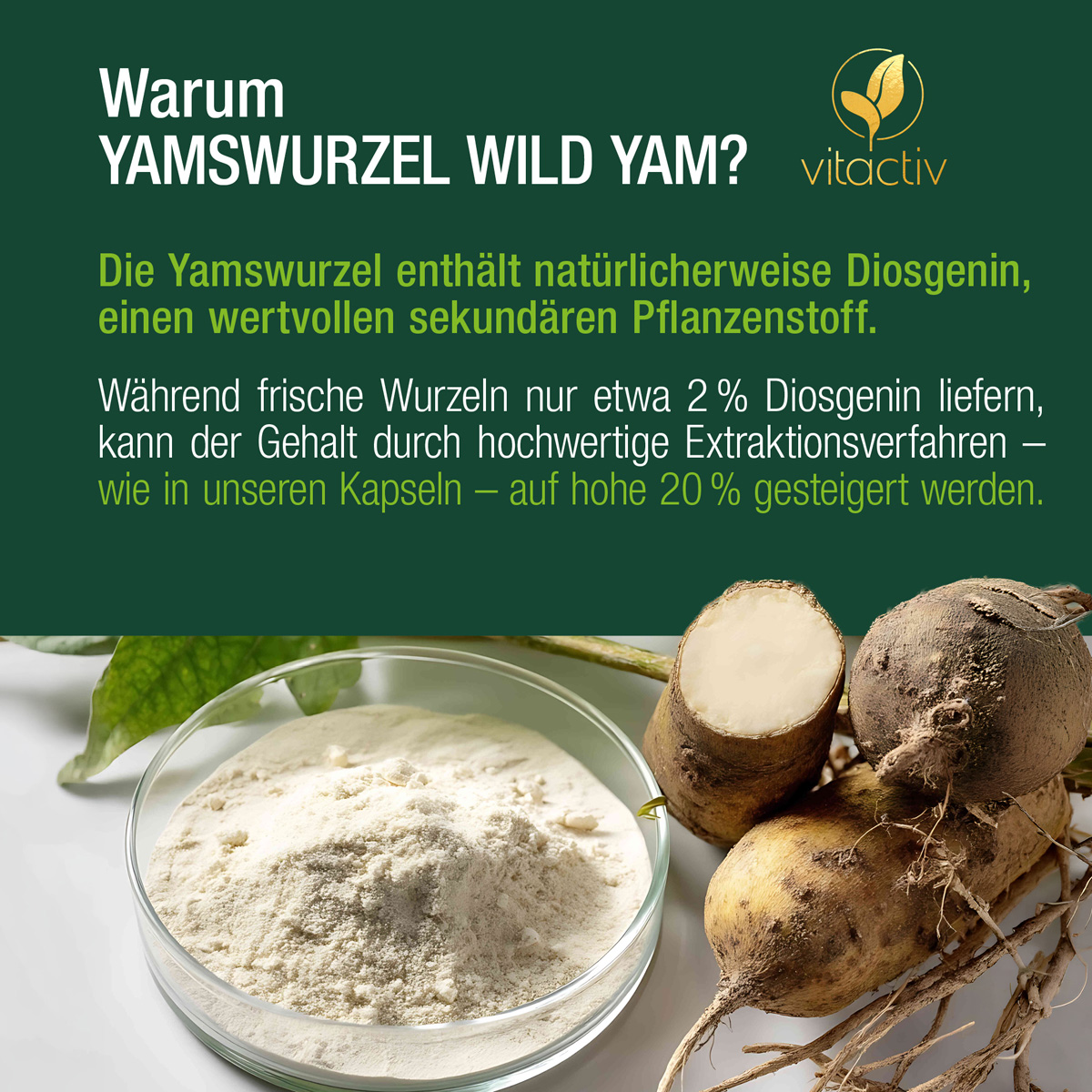 YAMSWURZEL WILD YAM cápsulas
