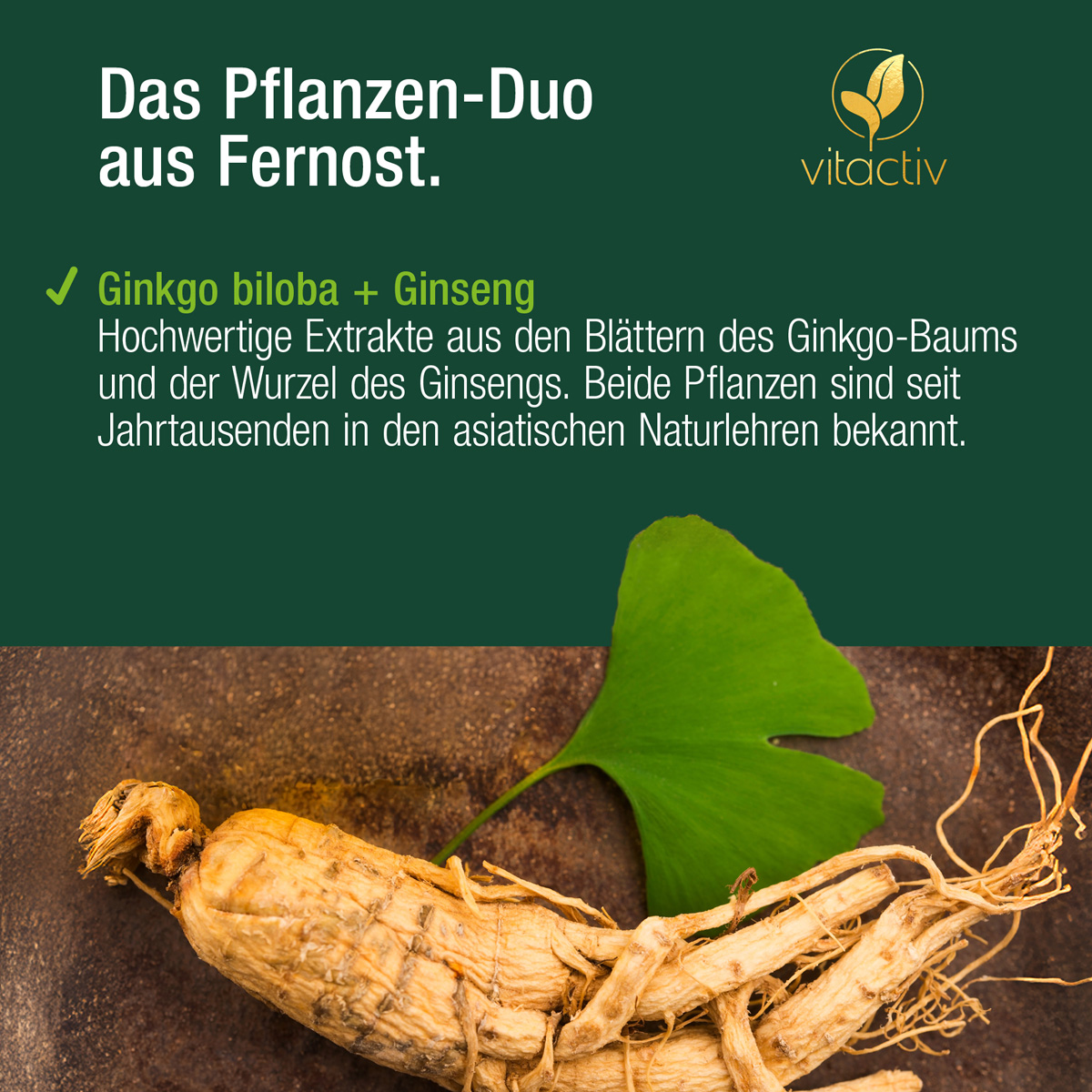 Füllstoff: mikrokristalline Cellulose; Koreanischer-Ginsengwurzel-Extrakt (Panaxginseng) mit 10% Ginsenosiden; Ginkgo-Biloba-Blatt-Extrakt mit 24% Flavonoiden und 6% Lactonen: Überzugmittel: Hydroxypropylmethylcellulose; L-Leucin; Cyanocobalamin.