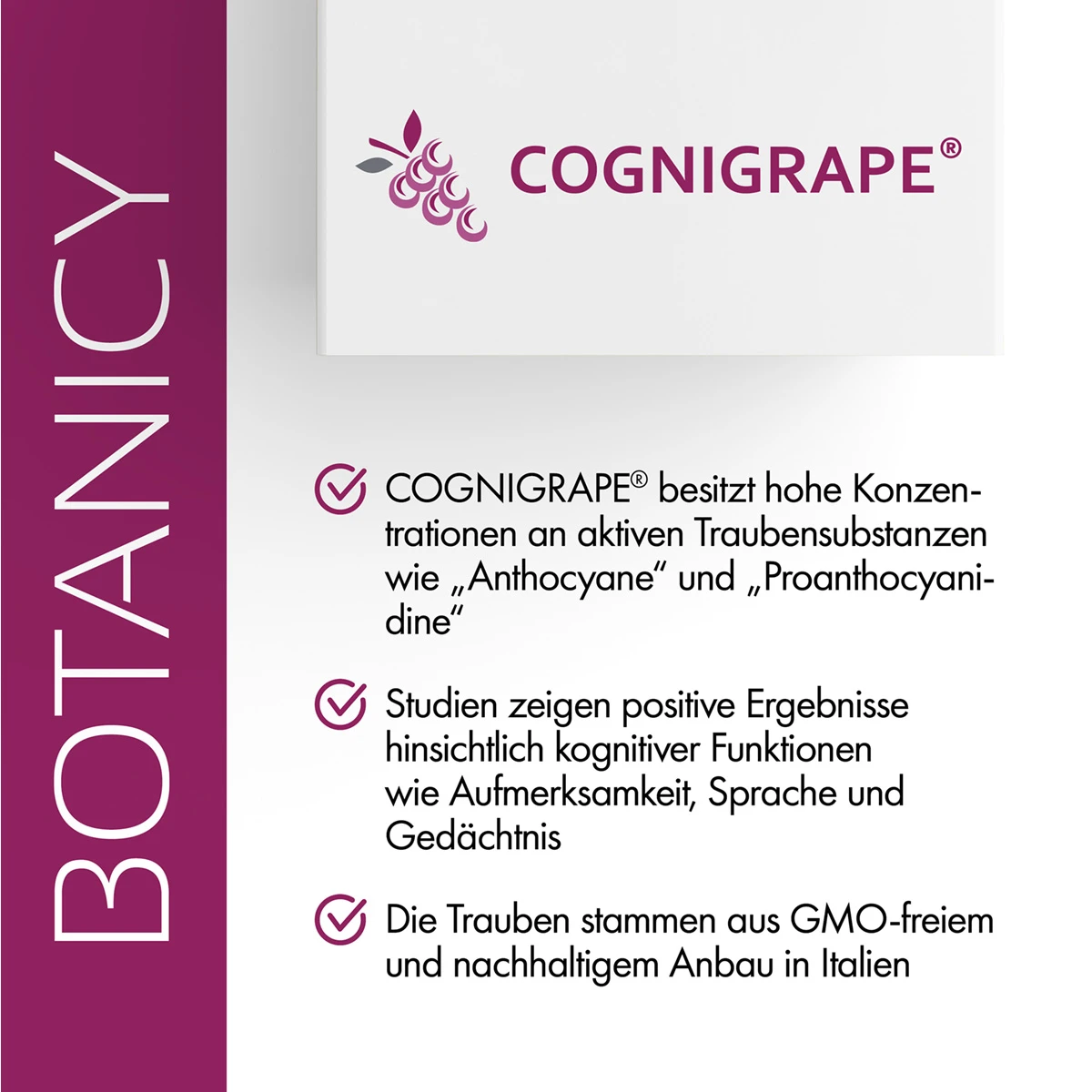 GINKGO Complex mit Cognigrape