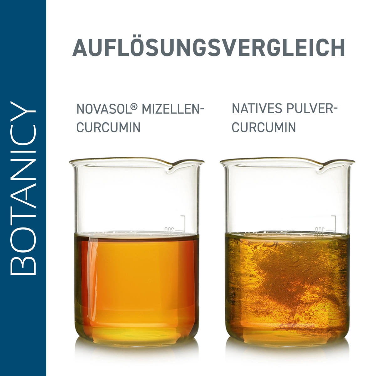 CURCUMA forte with NovaSol Curcumin