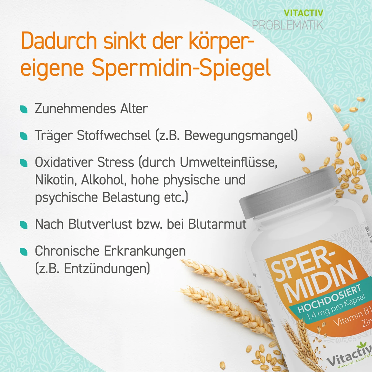 SPERMIDIN Kapseln + Vitamin B1 + Zink