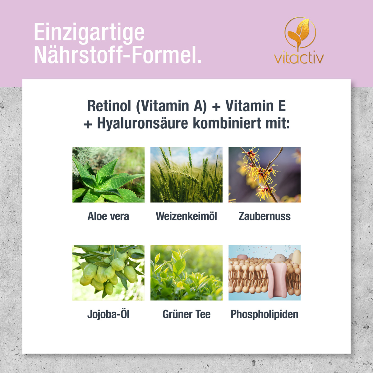 Kleine Fotos der verschiedenen Pflanzen, die als Auszüge im Produkt enthalten sind. Text zum Bild: Einzigartige Nährstoff-Formel. Retinol (Vitamin A) plus Vitamin E plus Hyaluronsäure – kombiniert mit Aloe vera, Weizenkeimöl, Zaubernuss, Jojoba u.v.m.