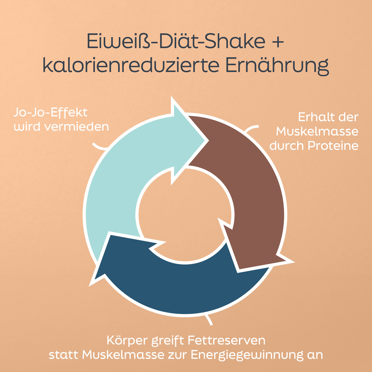 Protein diet shake - chocolate-nut, 500 g