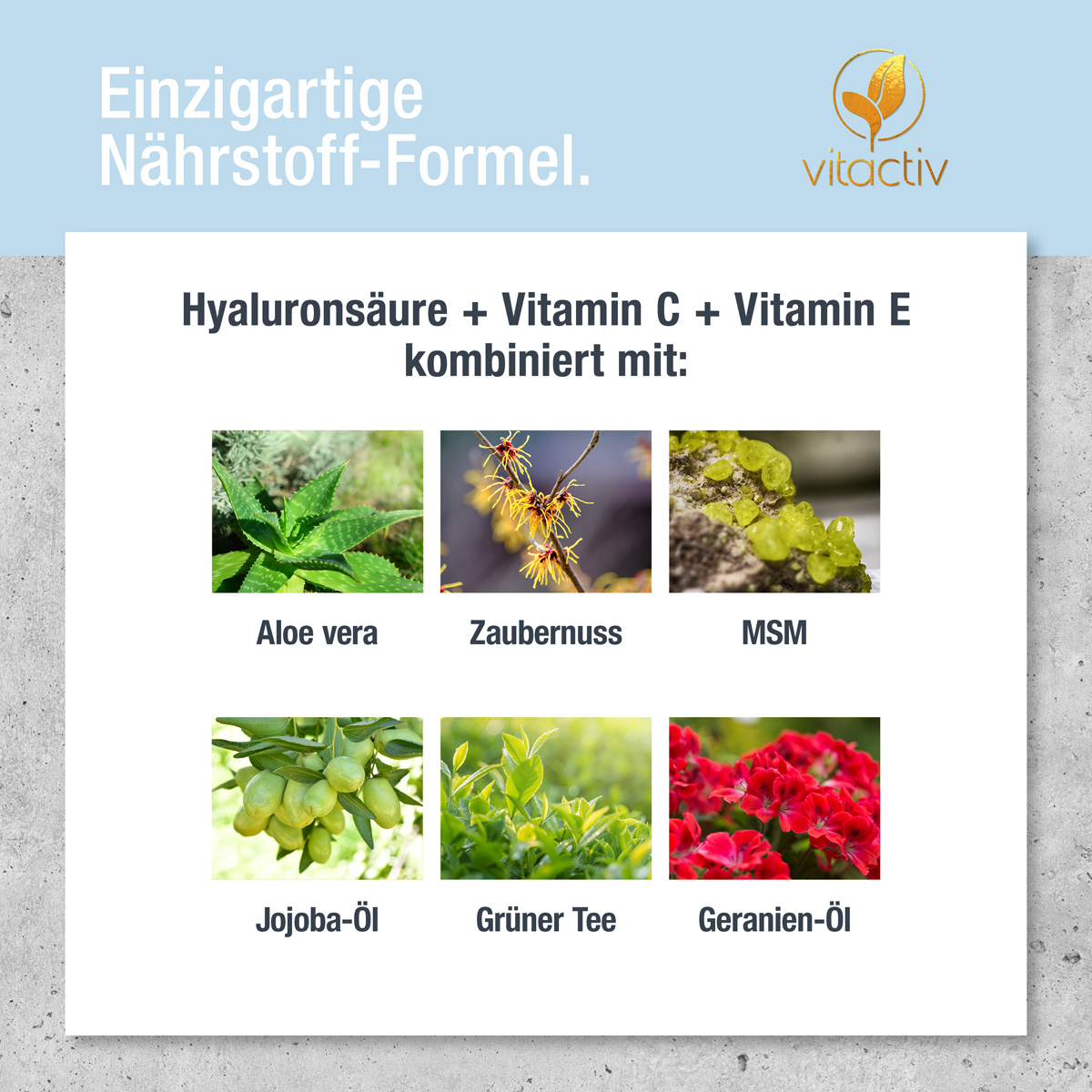 Kleine Fotos der verschiedenen Pflanzen, die als Auszüge im Produkt enthalten sind. Text zum Bild: Einzigartige Nährstoff-Formel. Hyaluronsäure plus Vitamin C plus Vitamin E – kombiniert mit Aloe vera, Zaubernuss, MSM, Jojoba, Grüntee u.v.m.