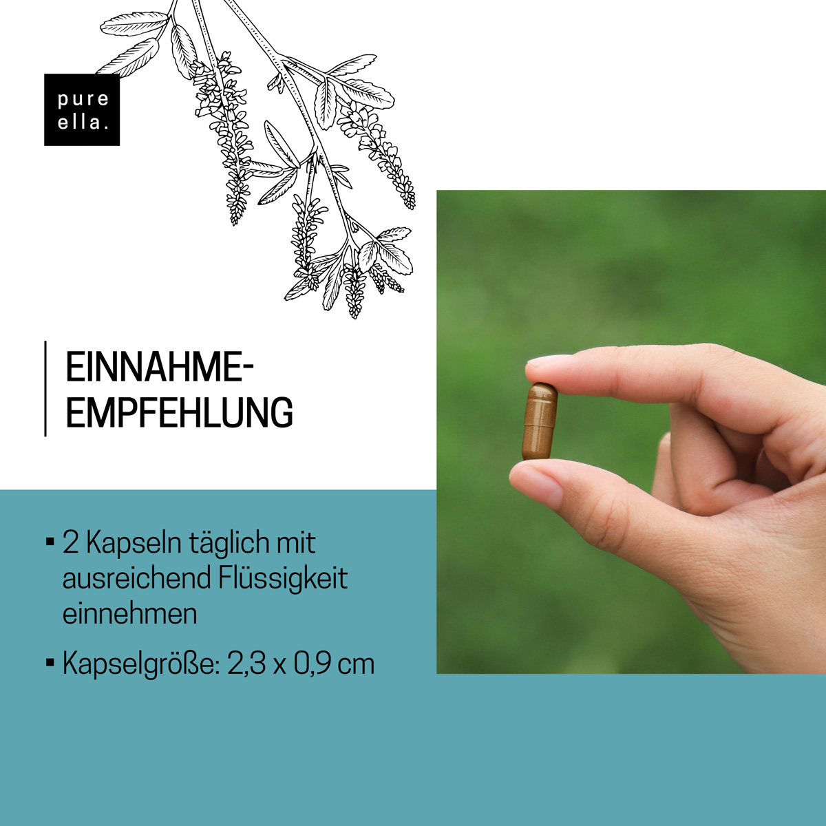 VENENLEICHT