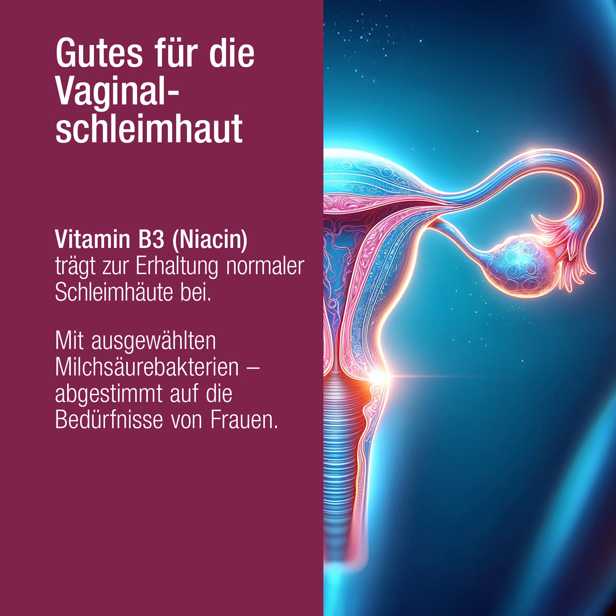 INTIMFLORA PROBIOTIK - Milchsäurebakterien