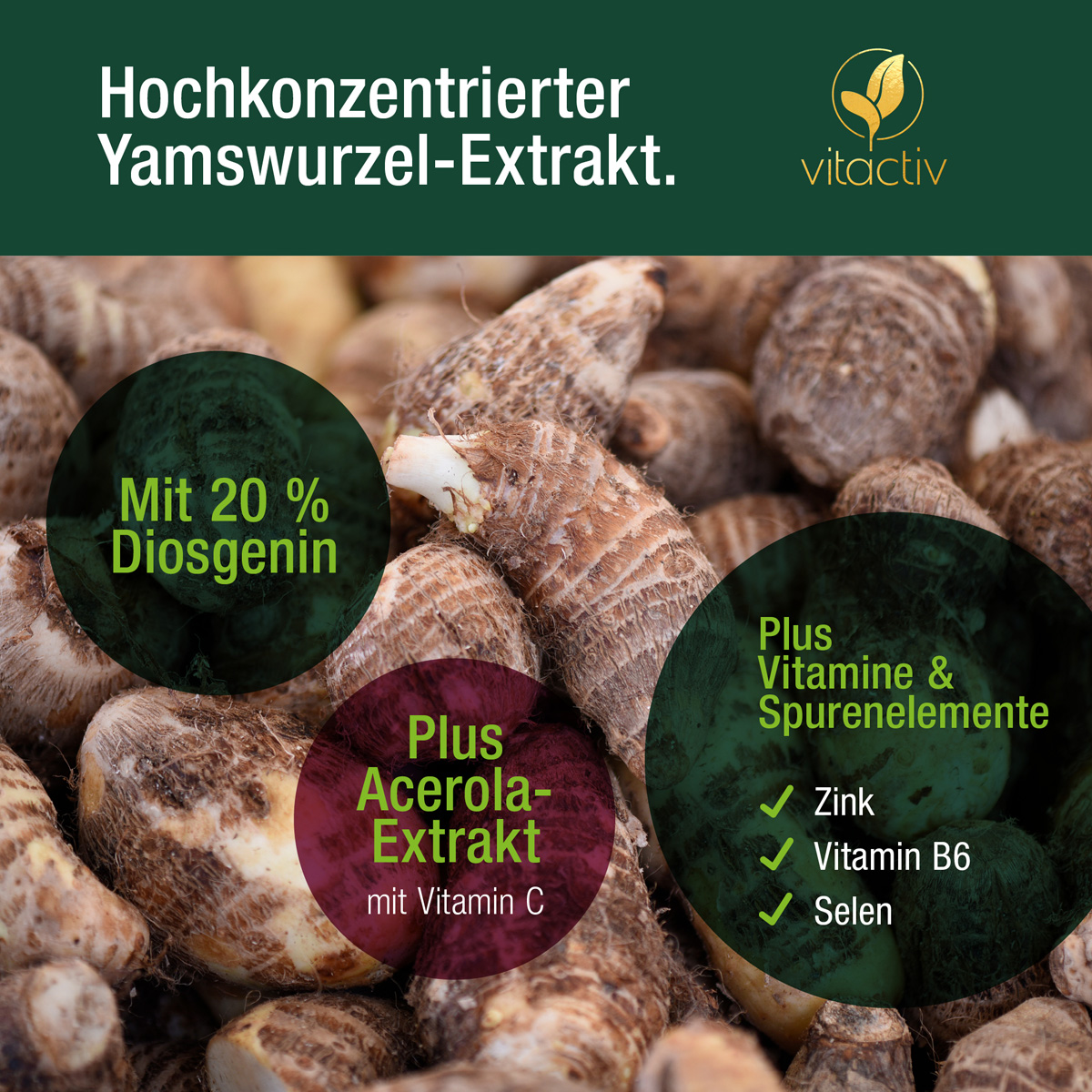 YAMSWURZEL WILD YAM cápsulas