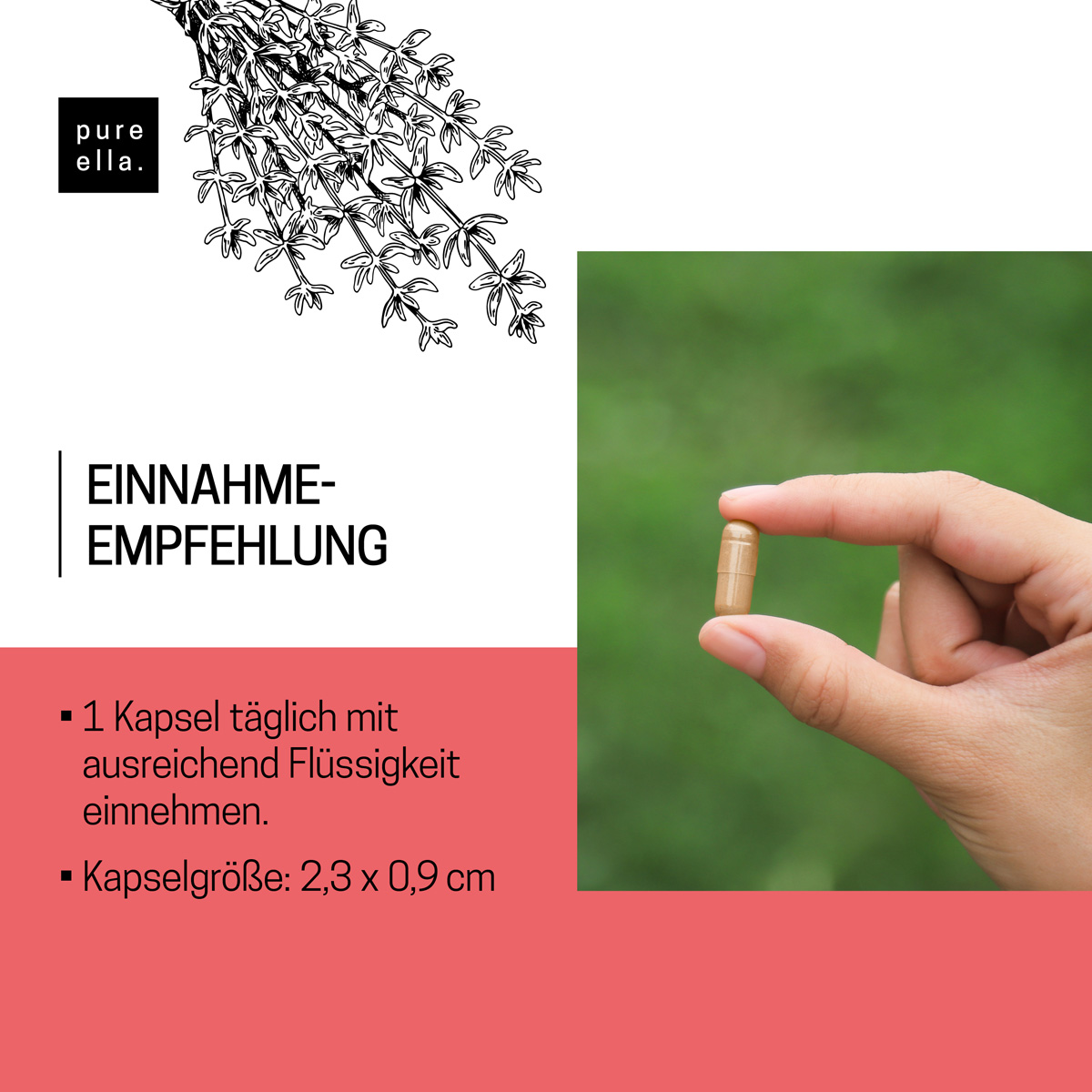 SCHILDDRÜSEN KOMPLEX
