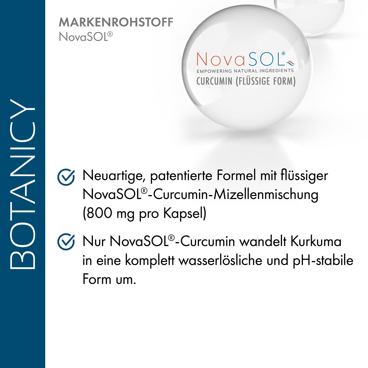 CURCUMA forte with NovaSol Curcumin