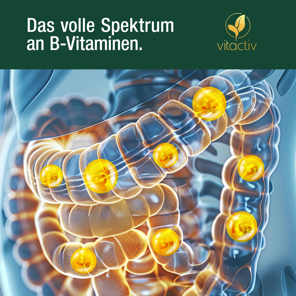 DARM FREUNDE