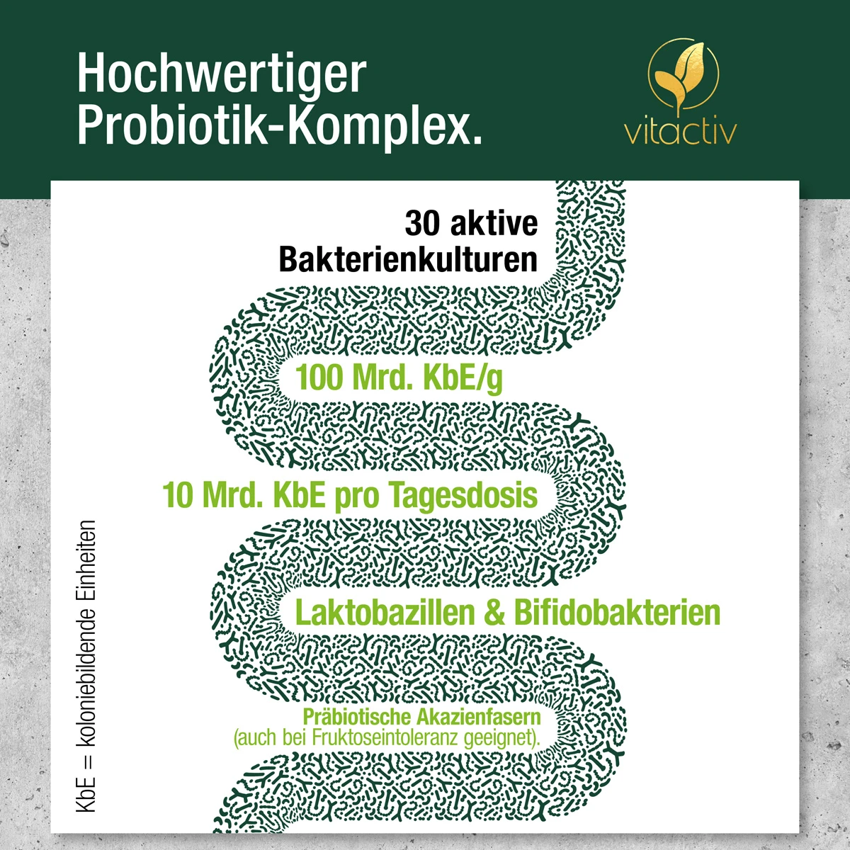 Hochwertiger Probiotik Komplex für deine Darmkur. Die Darmbakterien Kapseln von Vitactiv enthalten 30 aktive Bakterienkulturen mit Laktobazillen und Bifidobakterien (10 Mrd. koloniebildende Einheiten pro Tagesdosis). Akazienfasern als Präbiotikum.