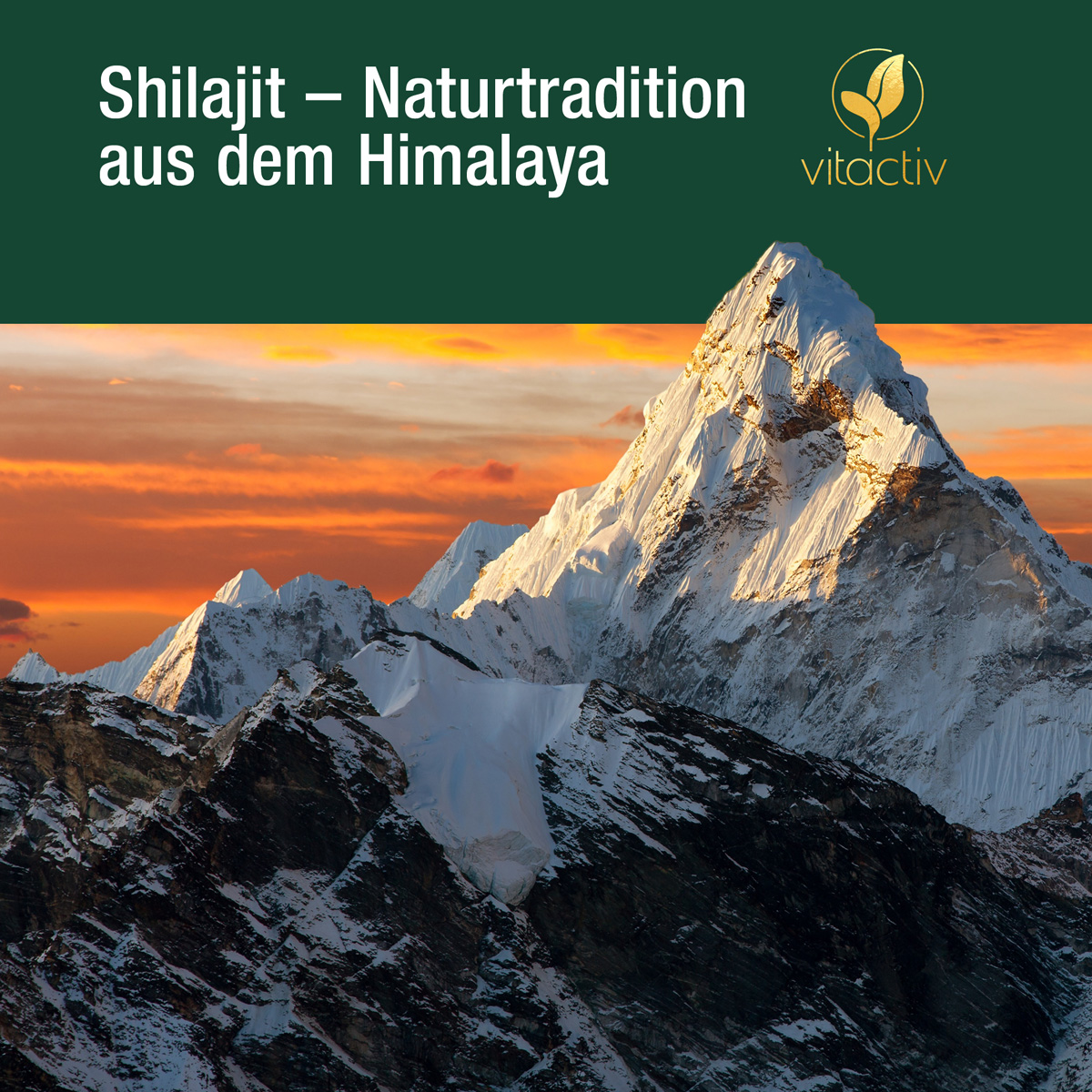 SHILAJIT 1000 mg