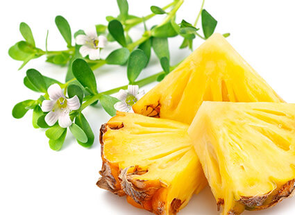 Planticinal Extrakt - Ananasstücke und Blumen