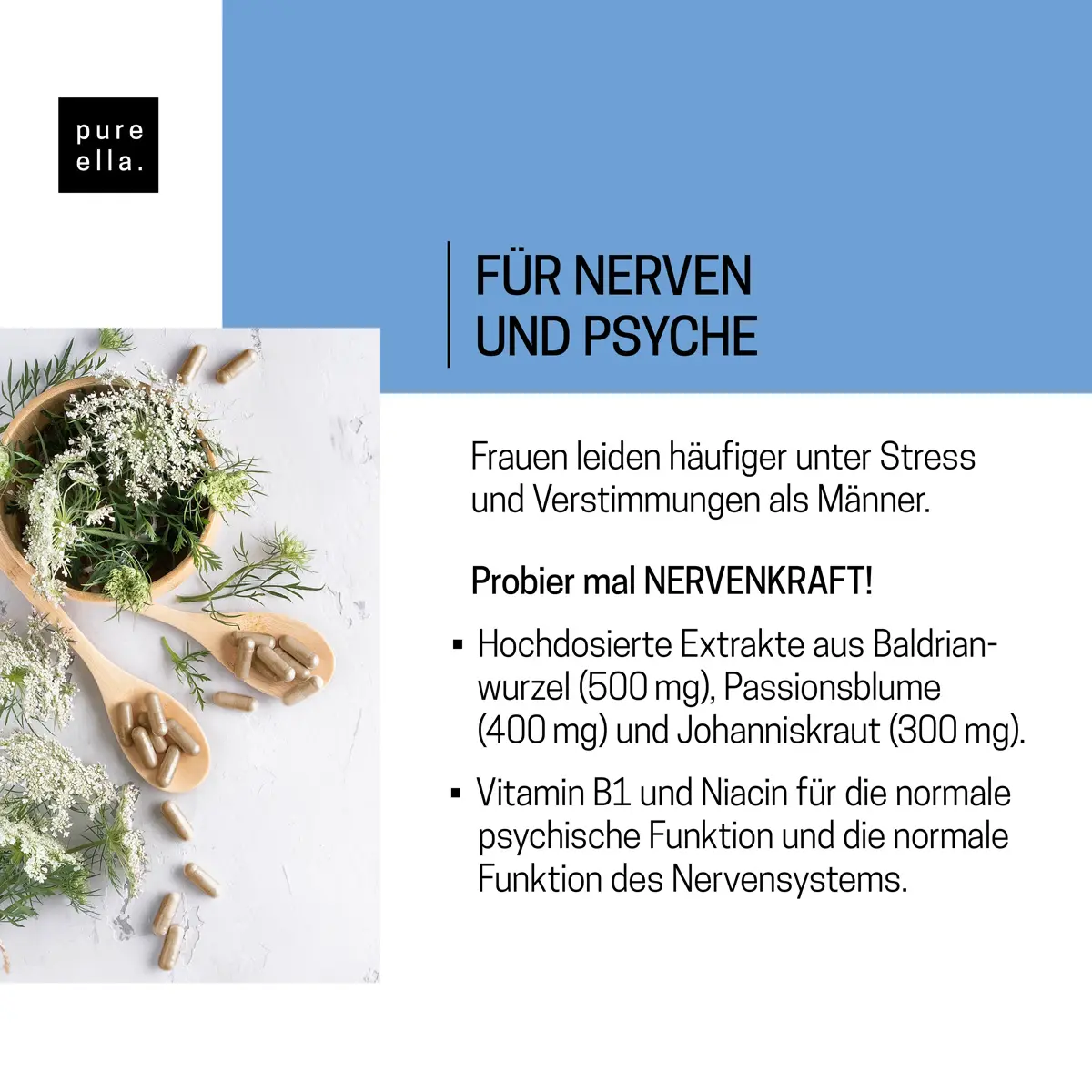 NERVENKRAFT