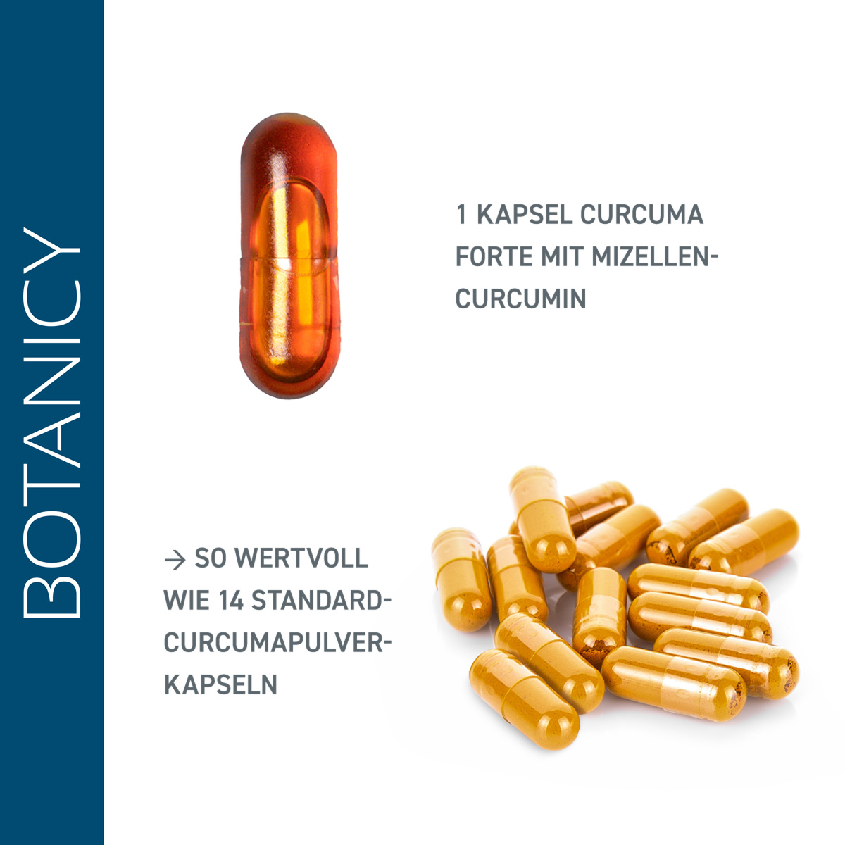 CURCUMA forte with NovaSol Curcumin