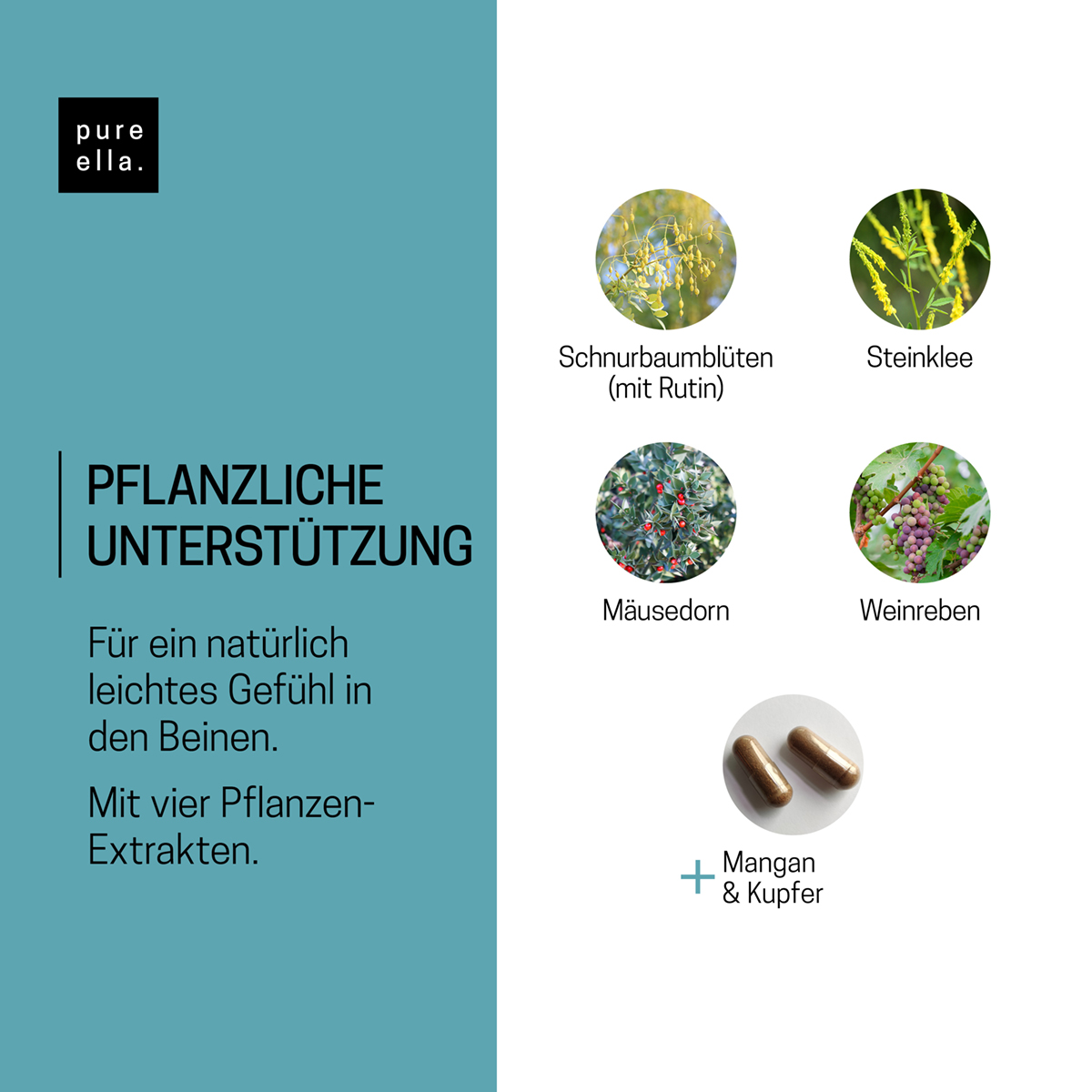 VENENLEICHT