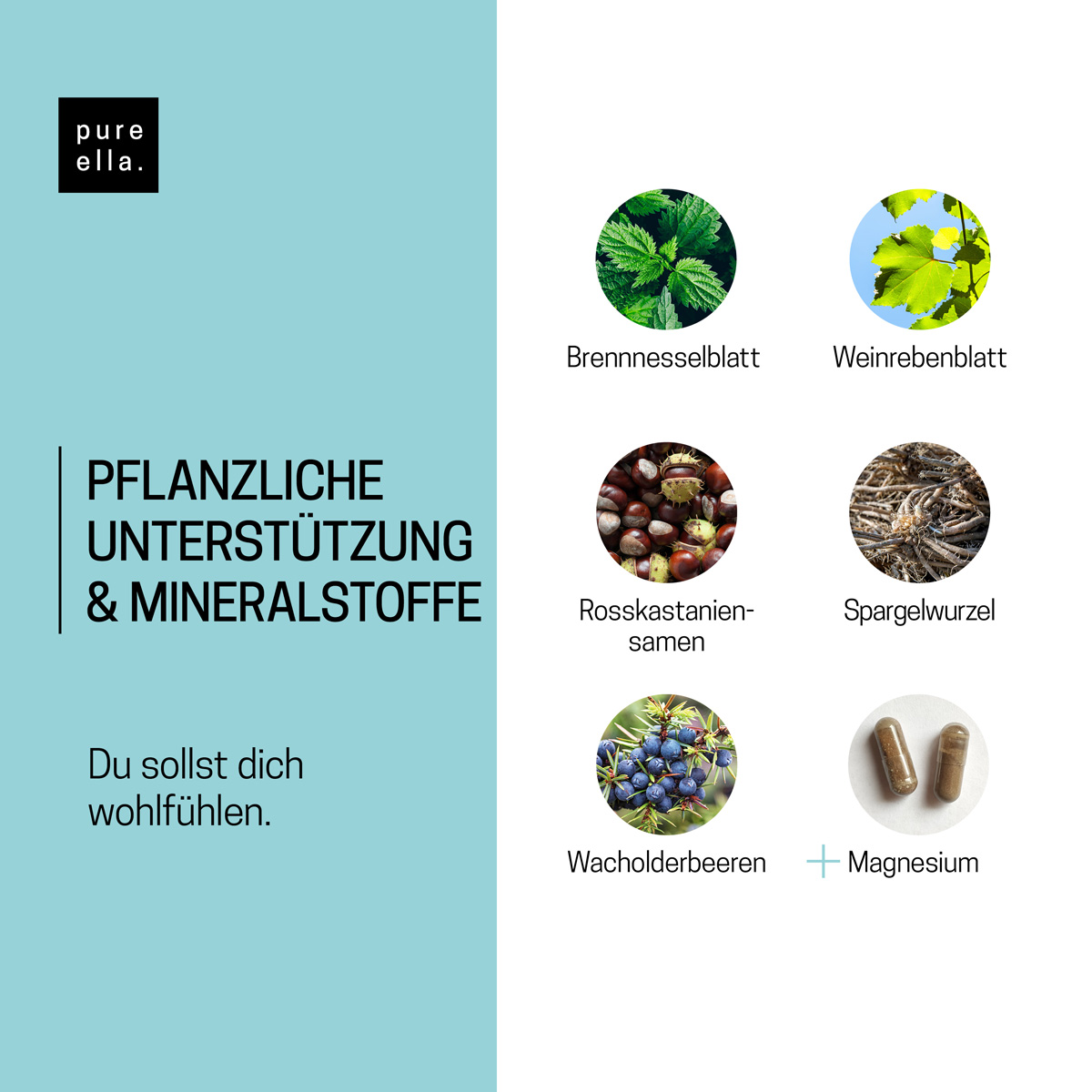 ENTWÄSSERUNG 3er Vorteilspaket