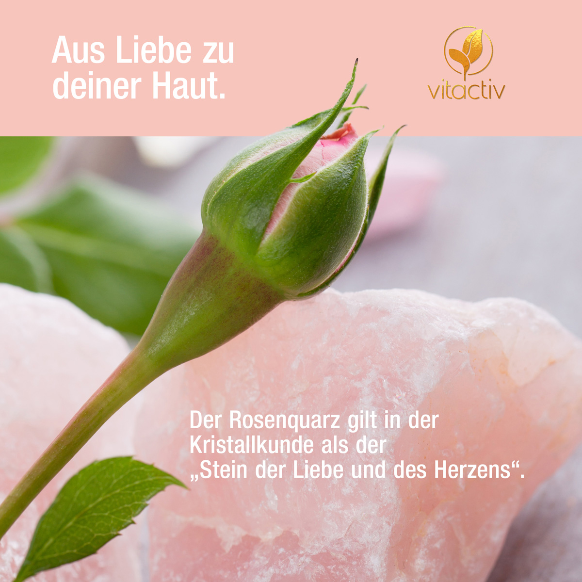 Eine sich entfaltende rosafarbene Knospe neben einm Guas Sha Rosenquarz. Text: Aus Liebe zu deiner Haut. Der Rosenquarz gilt in der Kristallkunde als der Stein der Liebe und des Herzens.