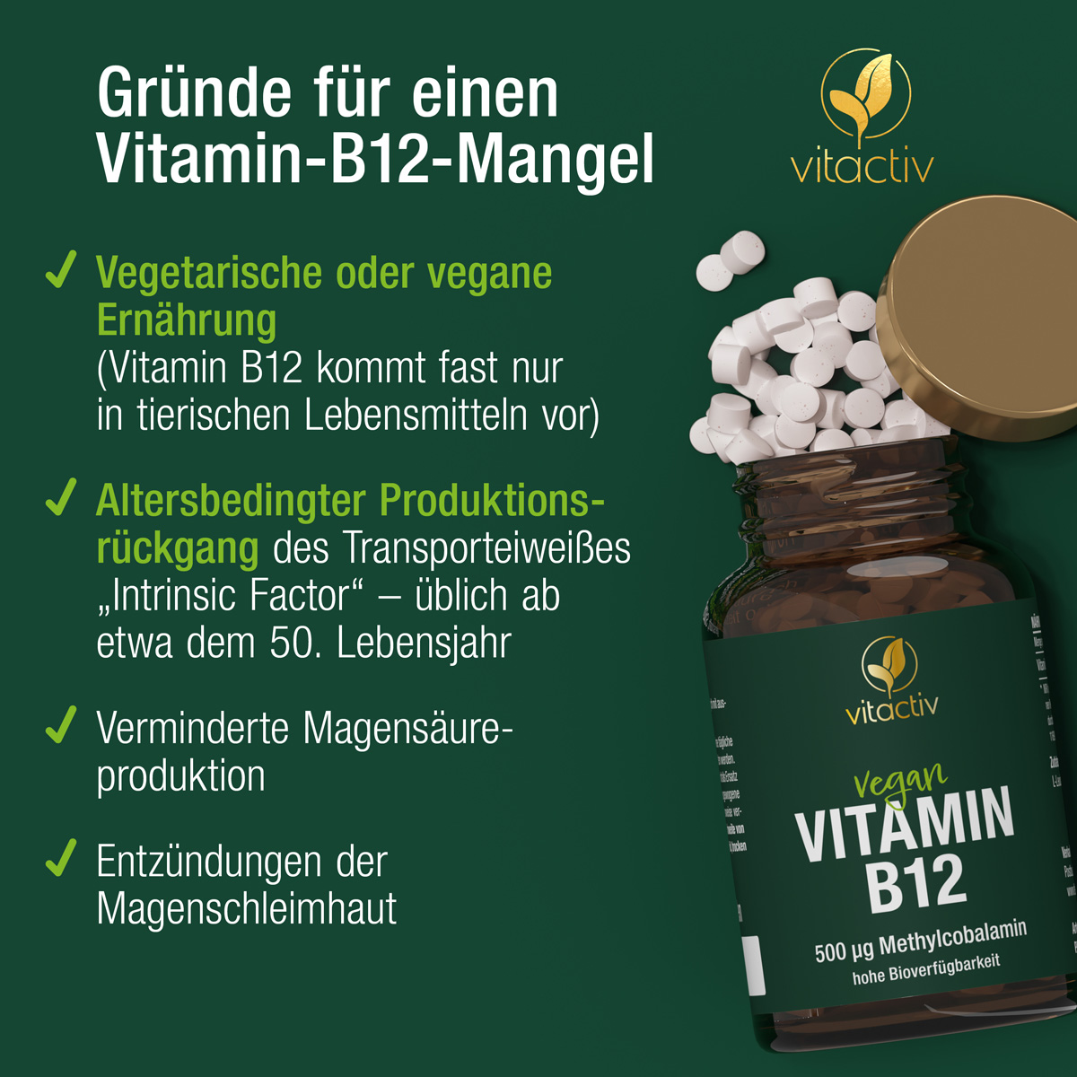 Eine grüne Dose VITAMIN B12 von Vitactiv. Text: Gründe für Vitamin-B12-Mangel sind vor allem eine vegetarische oder vegane Ernährung. Außerdem ein altersbedingter Produktionsrückgang des Transporteiweißes "Intrinsic Factor" ab dem 50. Lebensjahr.