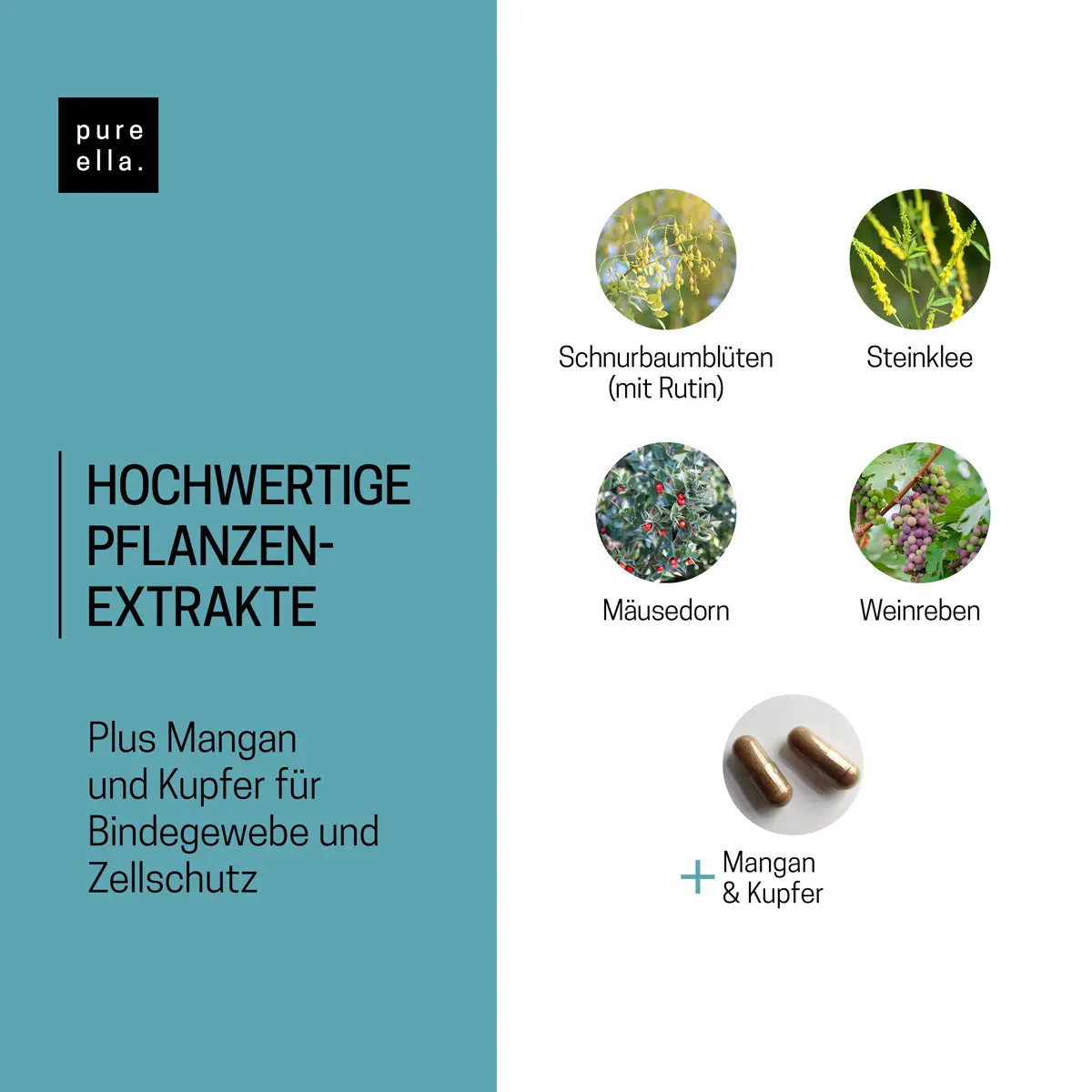 VENENLEICHT