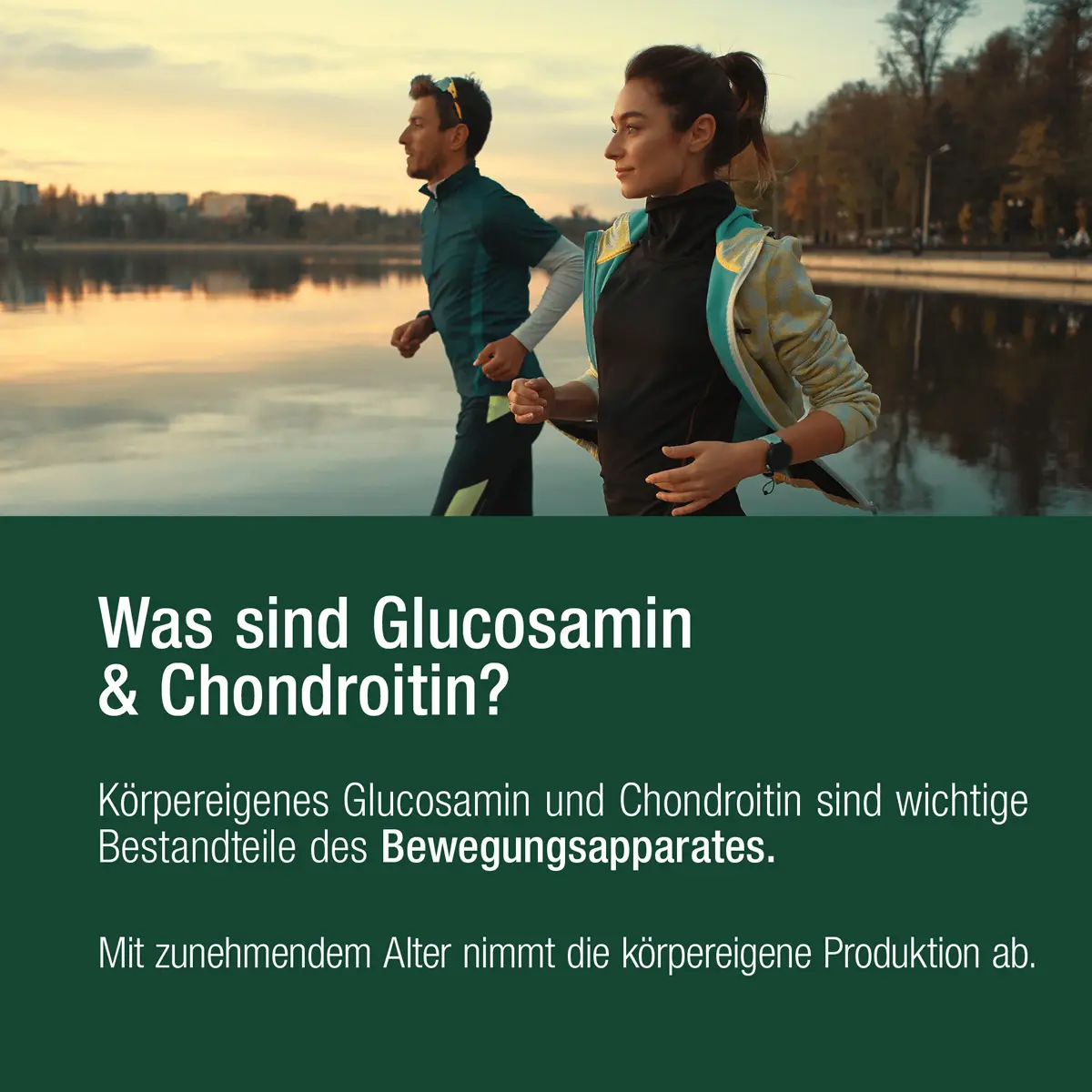 GLUCOSAMIN & CHONDROITIN Kapseln