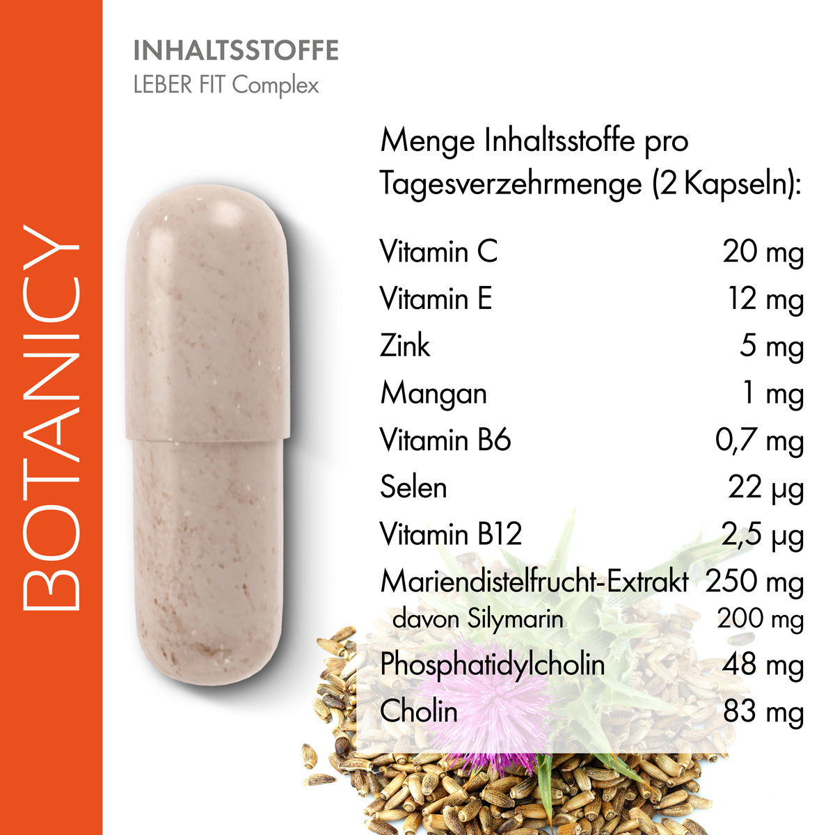 Links eine große LEBER FIT Kapsel, rechts eine hübsche Mariendistel. LEBER FIT enthält 250 mg Mariendistelfrucht-Extrakt, von diesen 250 mg sind 200 mg Silymarin. Plus Zink, Mangan, Selen, Phosphatdycholin Cholin und die Vitamine B6, B12, C und E.