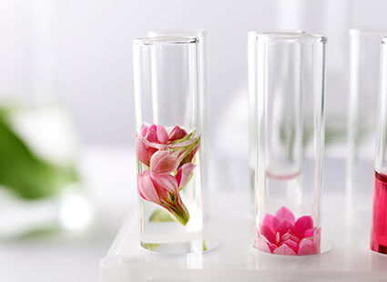 Planticinal Extrakt - Rosa Blüten in Reagenzgläsern 