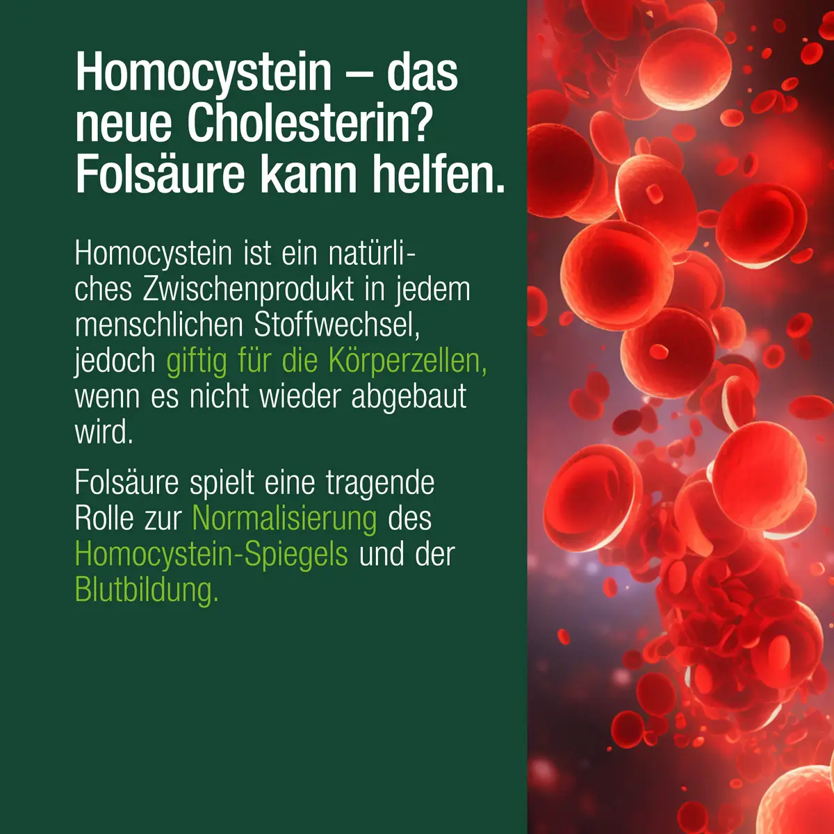 Folsäure unterstützt den normalen Homocystein-Stoffwechsel. Ein zu hoher Homocystein-Spiegel kann zu Herz-Kreislauf-Erkrankungen führen.