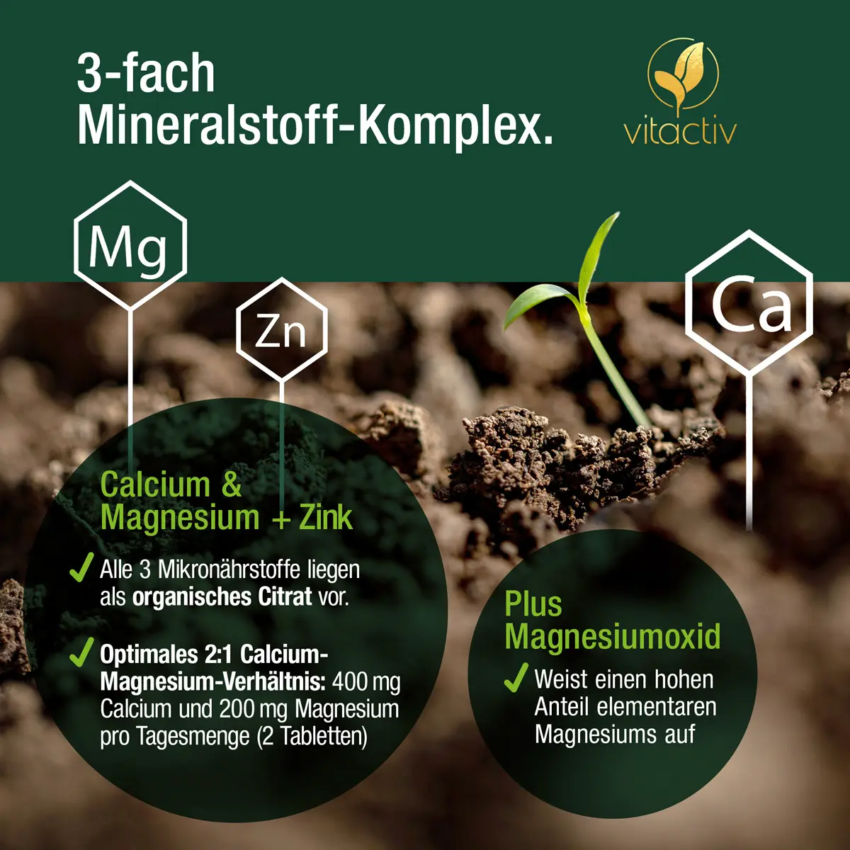 CALCIUM + MAGNESIUM + ZINC