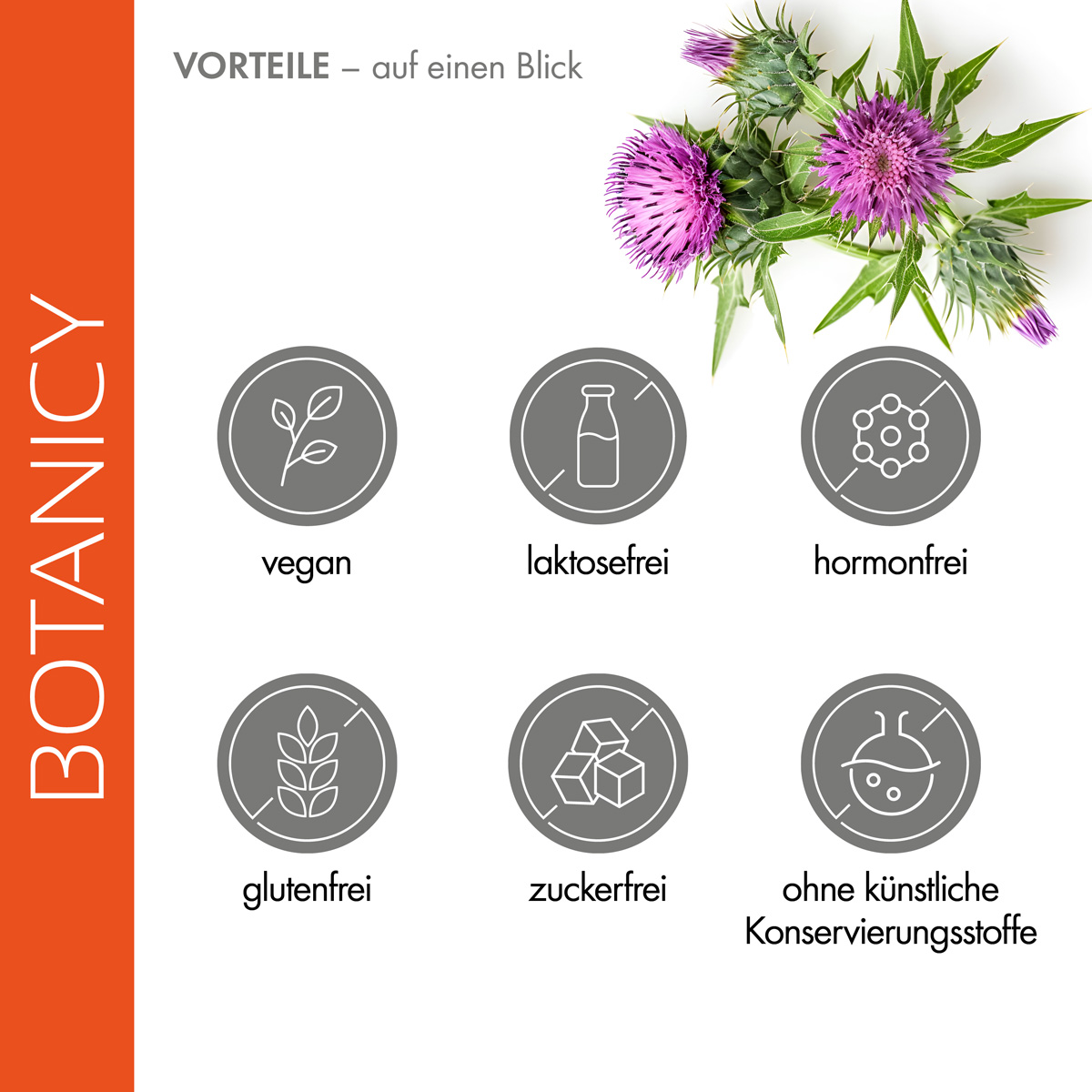 Zwei Mariendisteln, darunter 6 Icons mit Produkt-Features. Die Leber Kapseln sind vegan, laktosefrei, hormonfrei, glutenfrei, zuckerfrei und kommen ohne künstliche Zusatzstoffe aus.