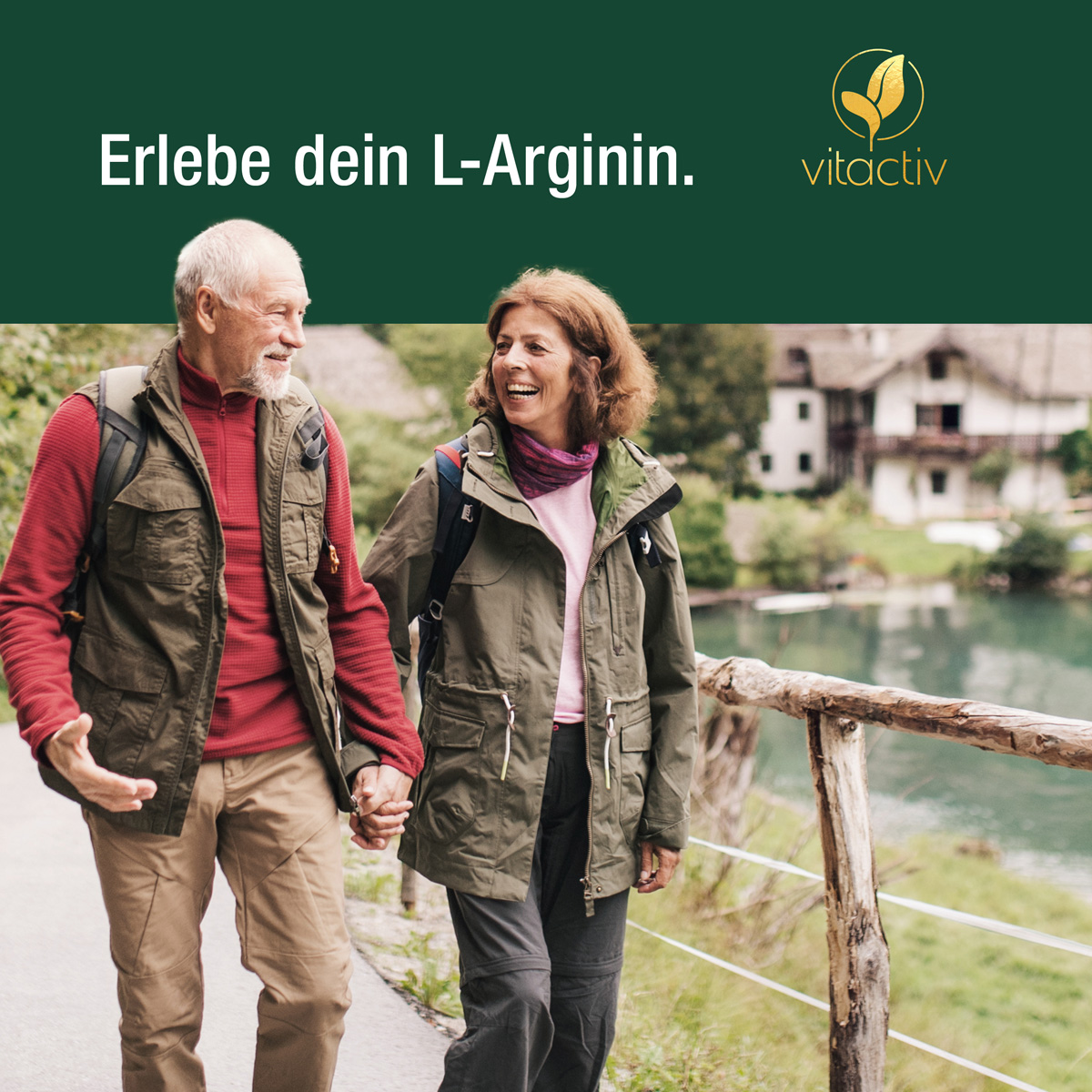 L-ARGININ KOMPLEX Kapseln