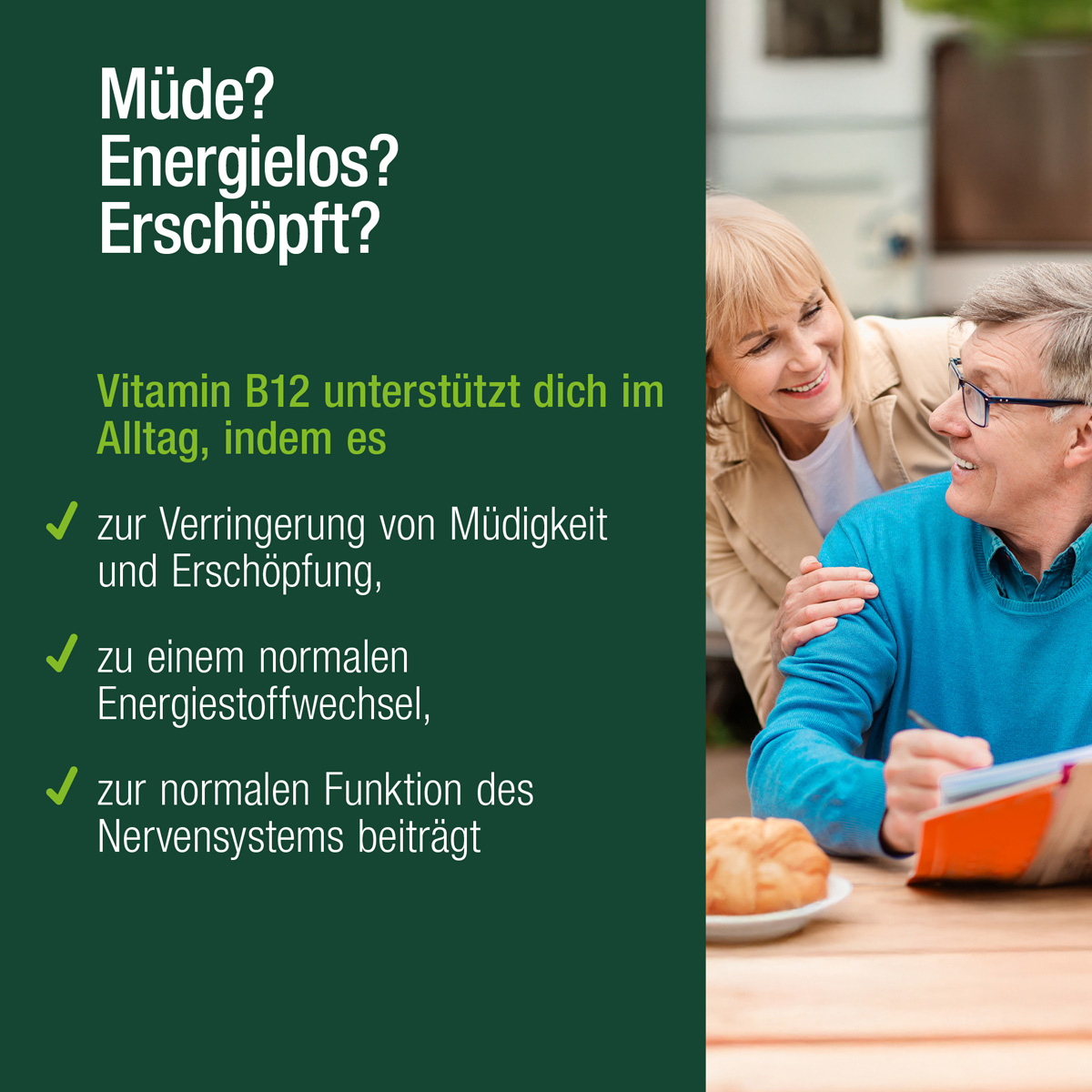 GINKGO & GINSENG + B12