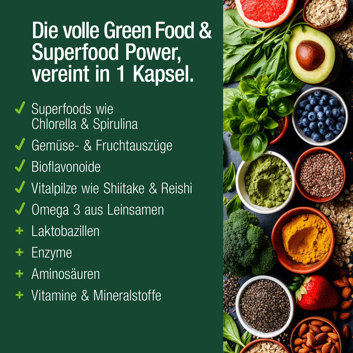 MULTI GREEN LIFE