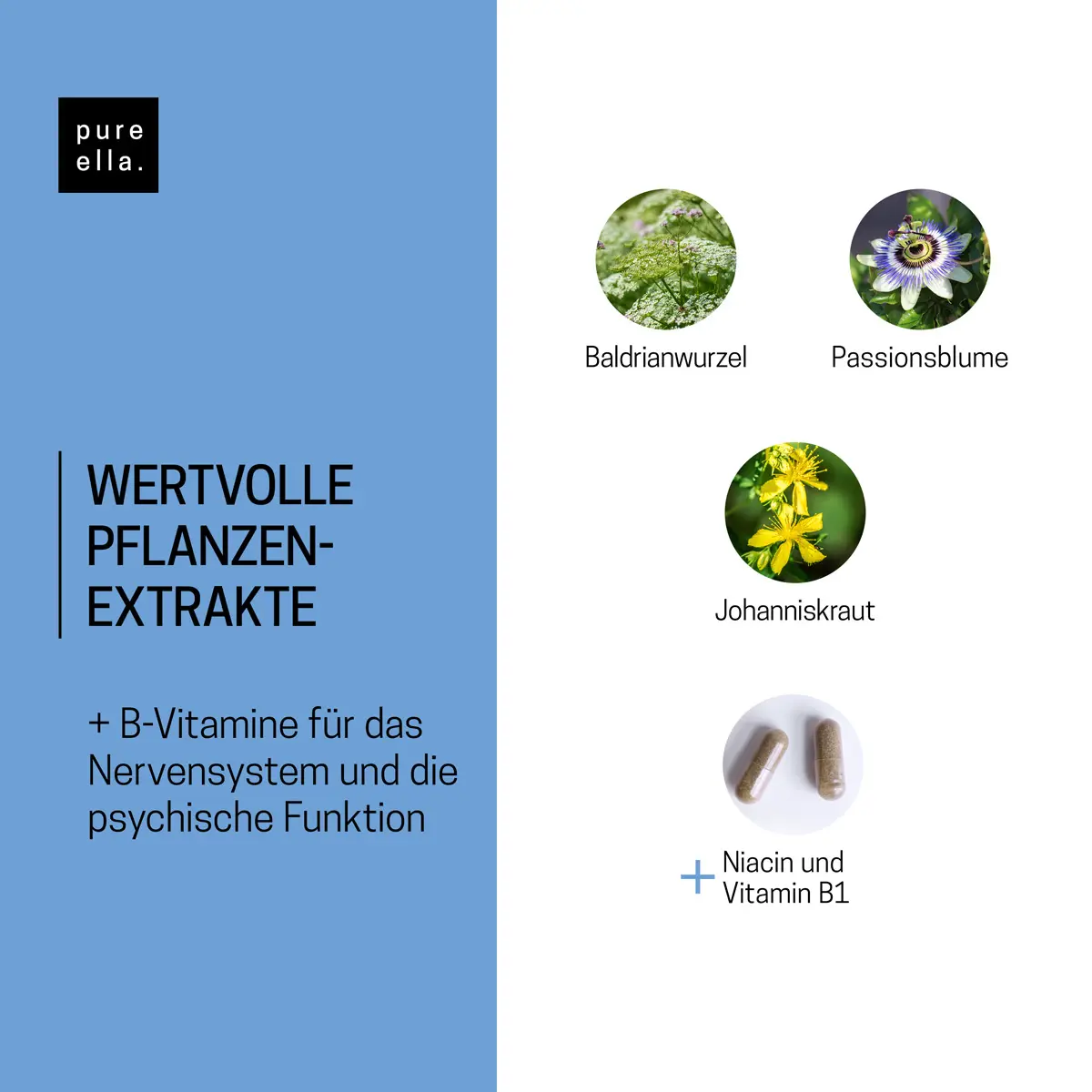 NERVENKRAFT