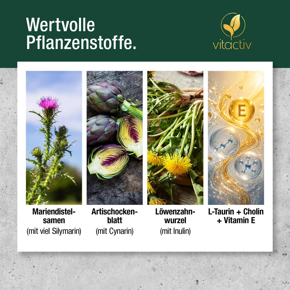 MARIENDISTEL KOMPLEX Capsules